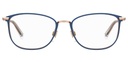 LEVIS (LEV) Frame LV 5009(FRAME COLOR CODE: PJP,FRAME BOX SIZE (MM): 53.0)