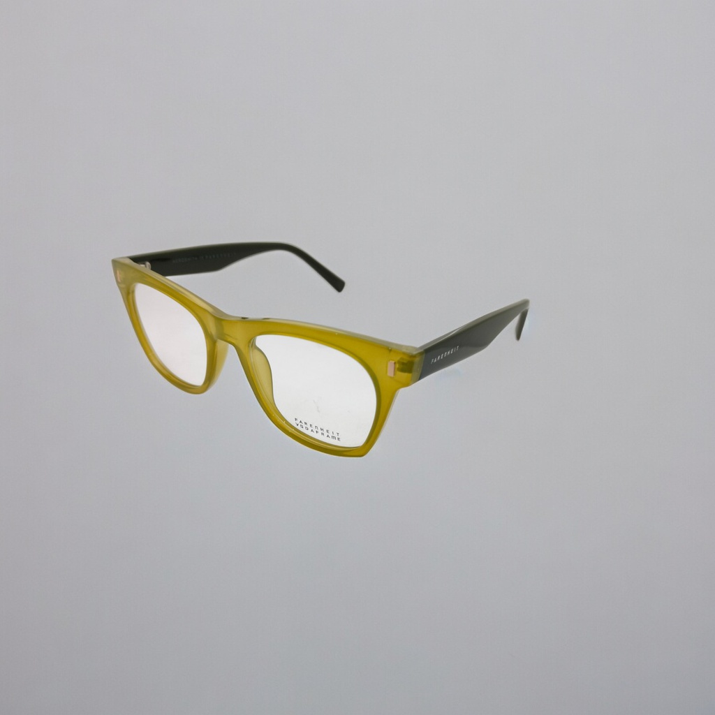 (FRAME ) FARENHEIT AEROSMITH 4681