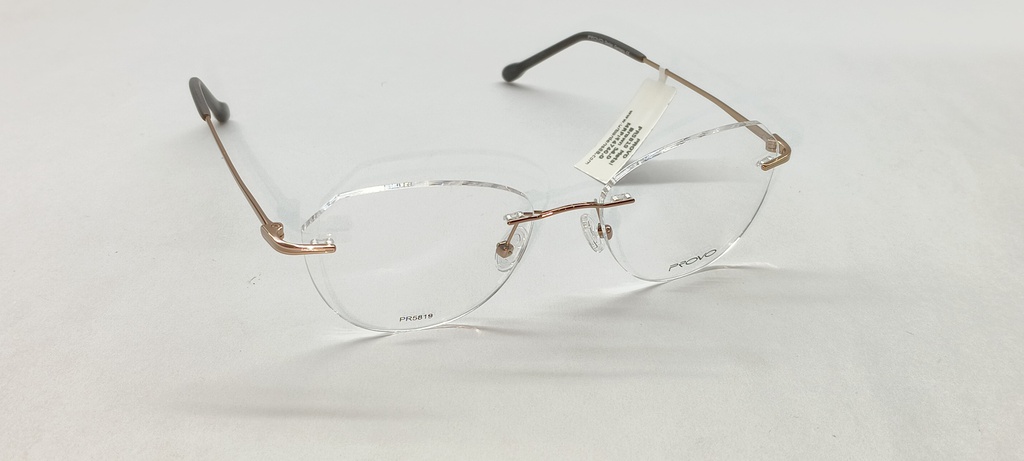 PROVO (PROVO) FRAME PR5819 Metal