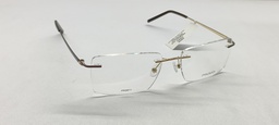 PROVO (PROVO) FRAME PR5811 (FRAME COLOR CODE: Gold/Brown,FRAME BOX SIZE (MM): 54.0)
