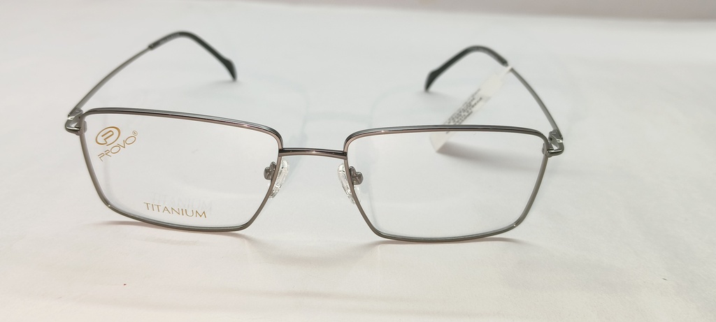 PROVO (PROVO) FRAME PT5815 TITANIUM