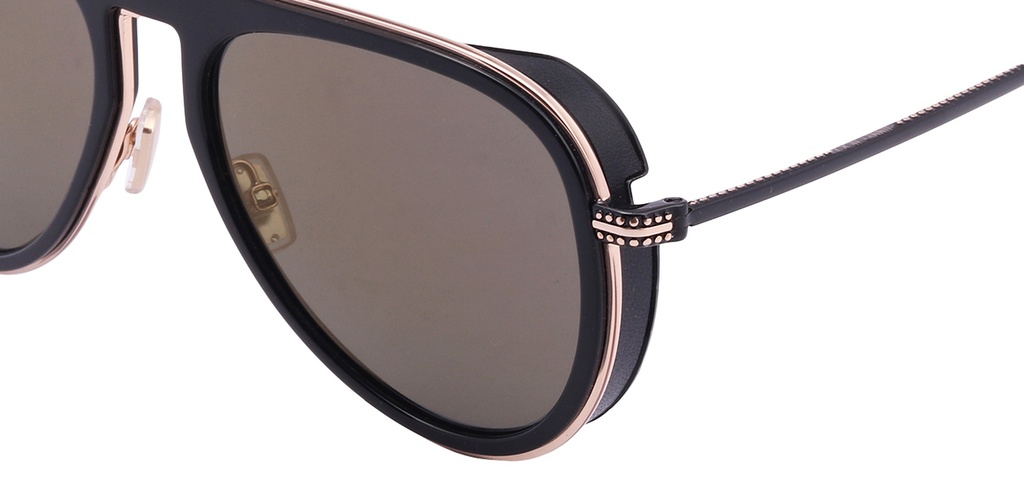 Jimmy choo 2024 carl sunglasses