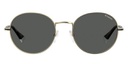 POLAROID SUNGLASSES PLD 2093/G/S GOLD-J5G 54M9