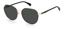 POLAROID (PLD) Sunglasses PLD 4106/G/S