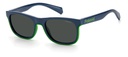 POLAROID (PLD) Sunglasses PLD 8041/S