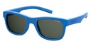 POLAROID (PLD) Sunglasses PLD 8020/S/SM