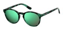 POLAROID (PLD) Sunglasses PLD 8024/S