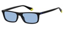 POLAROID (PLD) Sunglasses PLD 6091/S