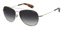 POLAROID (PLD) Sunglasses PLD 2083/G/S