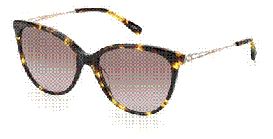 PIERRE CARDIN (PCA) Sunglasses P.C. 8485/S