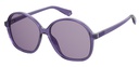POLAROID (PLD) Sunglasses PLD 6095/S