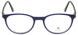 TED SMITH (TS) FRAME TS-HK-309(FRAME COLOR CODE: C3,FRAME BOX SIZE (MM): 5019)