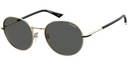 POLAROID (PLD) SUNGLASSES PLD 2093/G/S J5G 54M9 GOLD